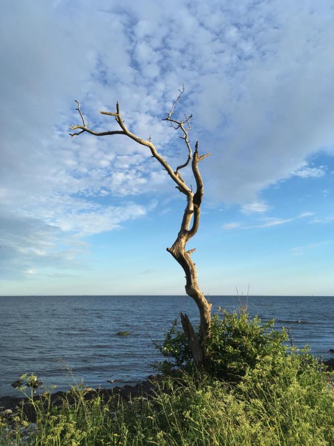 Rum Pa Landet Klagstorp 외부 사진